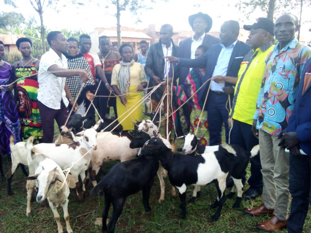 Today HON Jennifer Muheesi has given 20goats to the youths of Buremba TC in their association of Buremba goat rearing where she has advised them to continue with the cooperation @KazoDLG ,@Jennifermuheesi ,@SBeinomugi72887