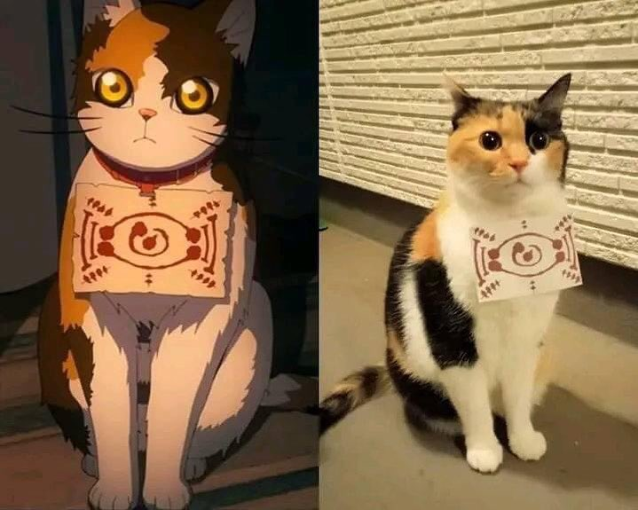 The perfect cosplay doesn't exi-