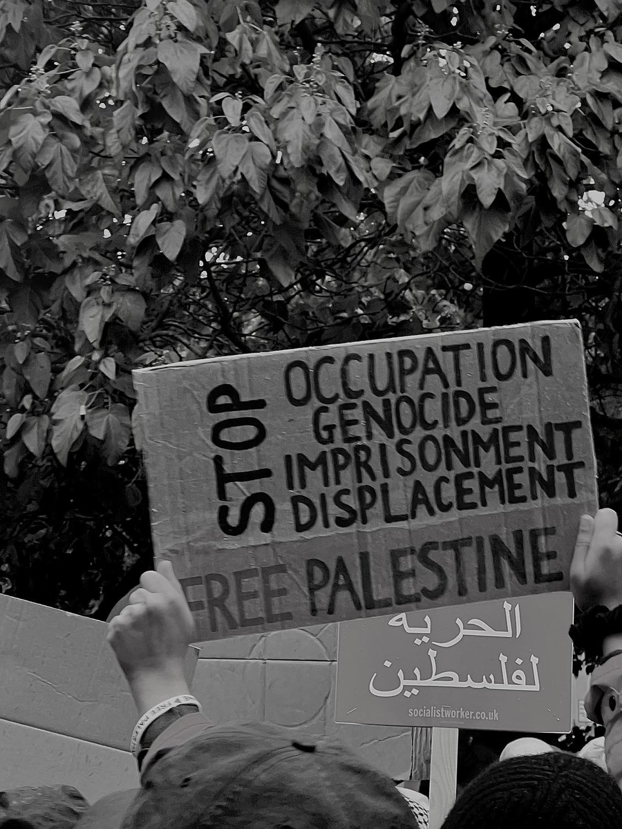 sheppuxo's tweet photo. from the river to the sea, Palestine will be free 🤍 https://t.co/1CoJyyiH8O