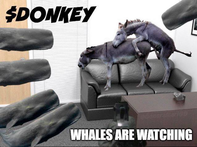 <a href="/stekisteks/">///Steki🧲</a> I'm grinding hard on my $donkey and he is willing to go all the way long.

10K mc. Locked and renounced. Utility is out and lit ! 

Website: hunglikeadonkey.tech                               Twitter: x.com/HLDonkey   
TG: t.me/donkeyhung