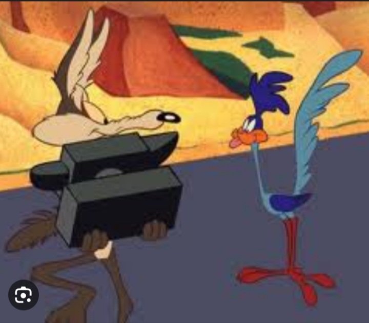 nila_kowalewski's tweet image. #waitforit #weightforit