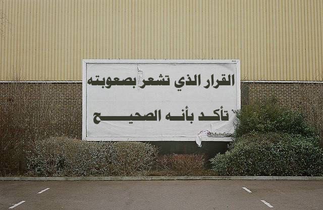 القانون (٤٦)