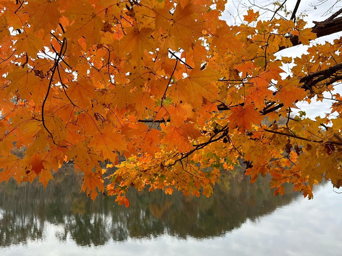 WarriorsPathGC tweet media