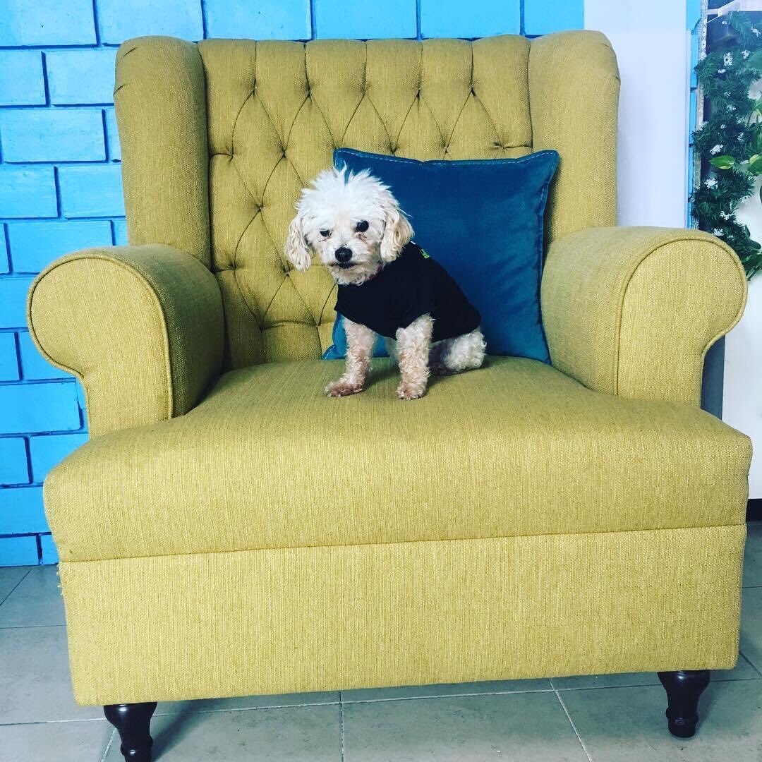 Magentika tweet media