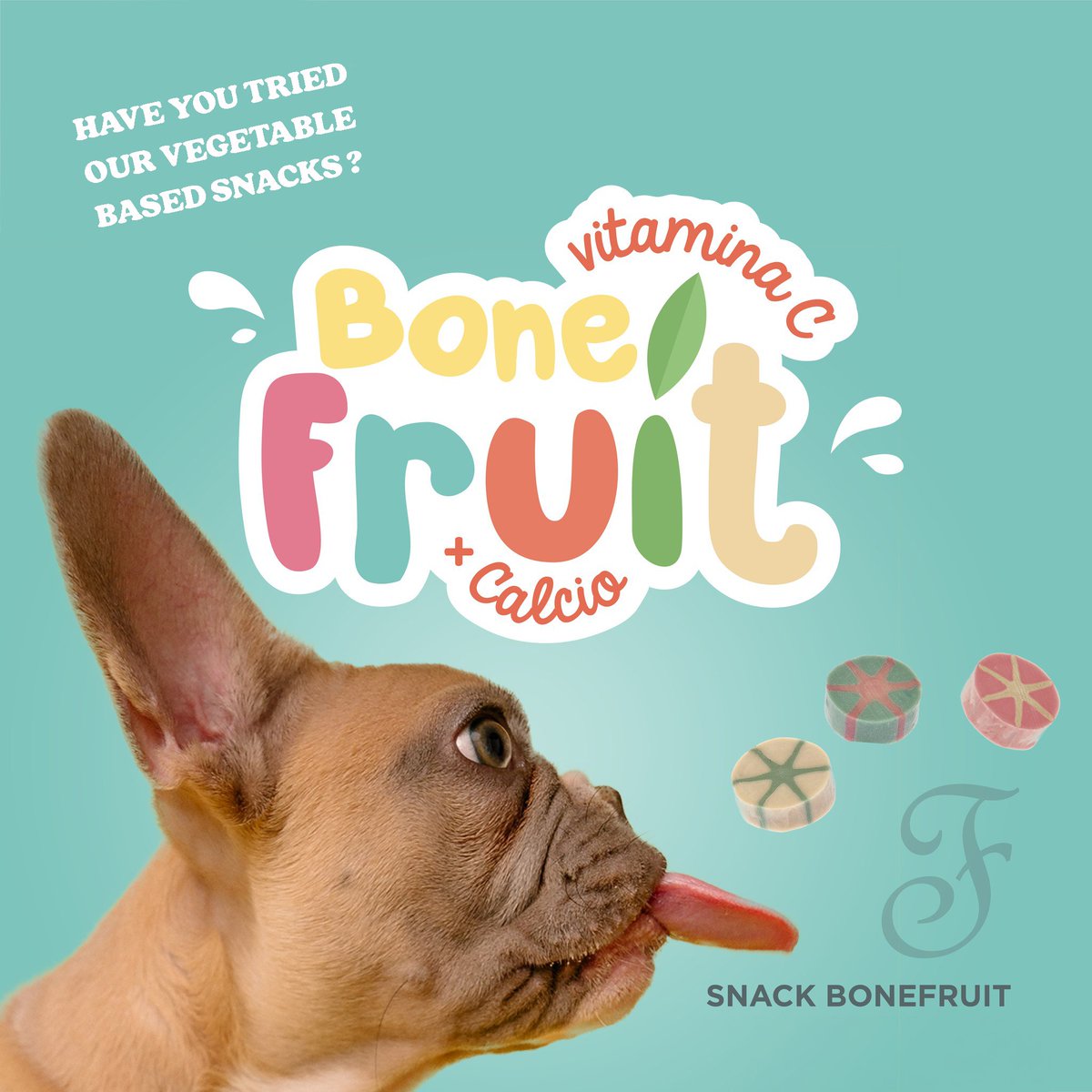 trejoipets's tweet photo. Ears up and tongue out! 🐶 The popular fruit snack is rich in Calcium and Vitamin C with blueberry, apple and lemon 🌈

These vegetable based snacks are available in different fun shapes! 

#bonefruit #bonefruitdog #vegetablebased #ferribiellafriends #ferribiella #dogowners #dog https://t.co/kTVqz6mrTY