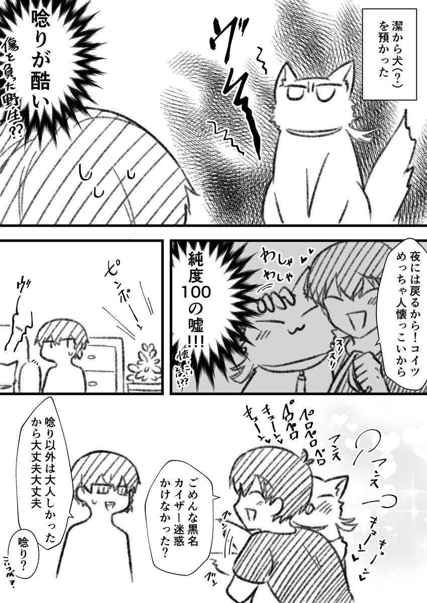 kiis/人懐っこい犬 ※ハロウィン大遅刻漫画