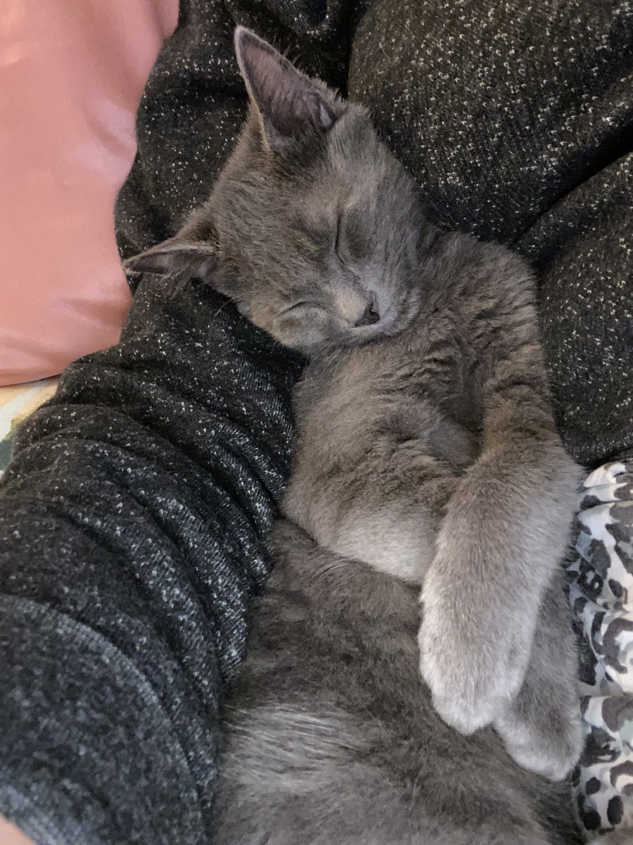 Happy Caturday!!😊🐈‍⬛🐾😻