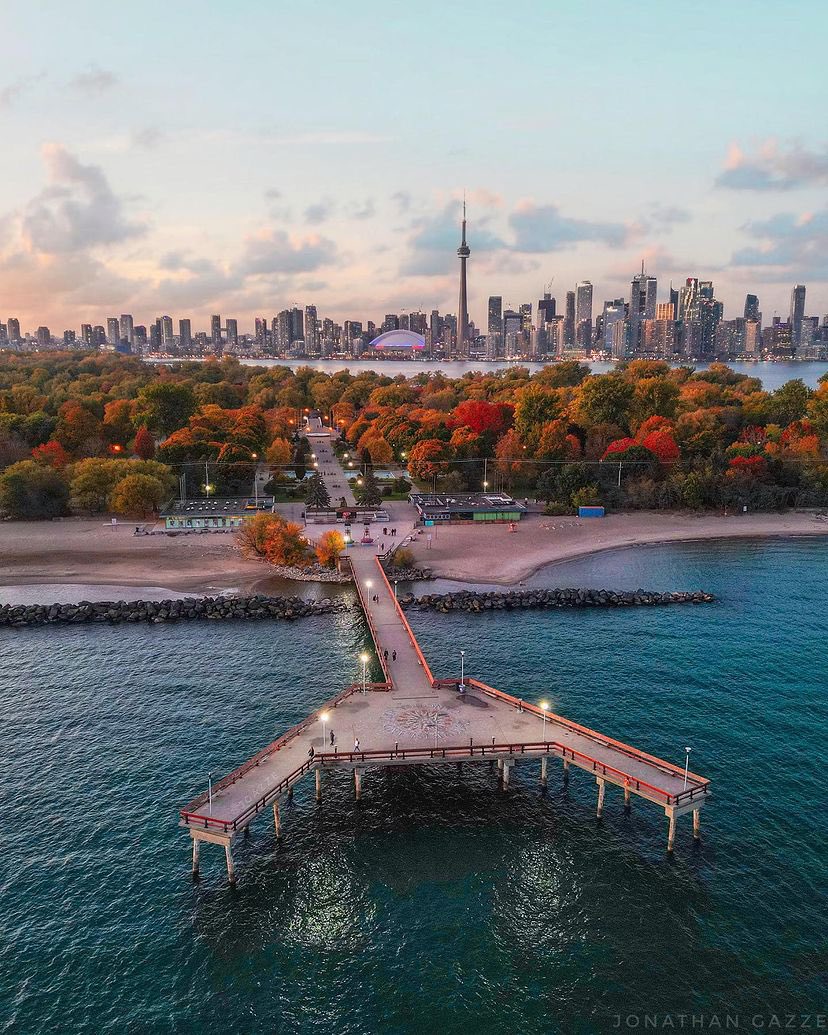 MyTOFD's tweet image. Weekend vibes in Toronto 😍 🍂 📸 @Jgazze #torontoviews #exploreto