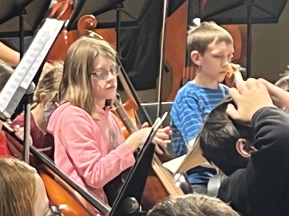 QCSD_Orchestra tweet media