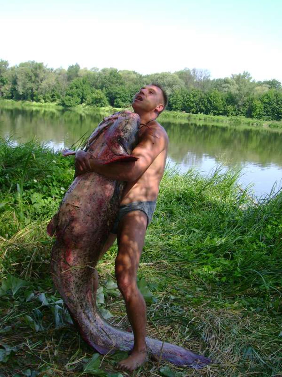 Michael Bilan tweet media