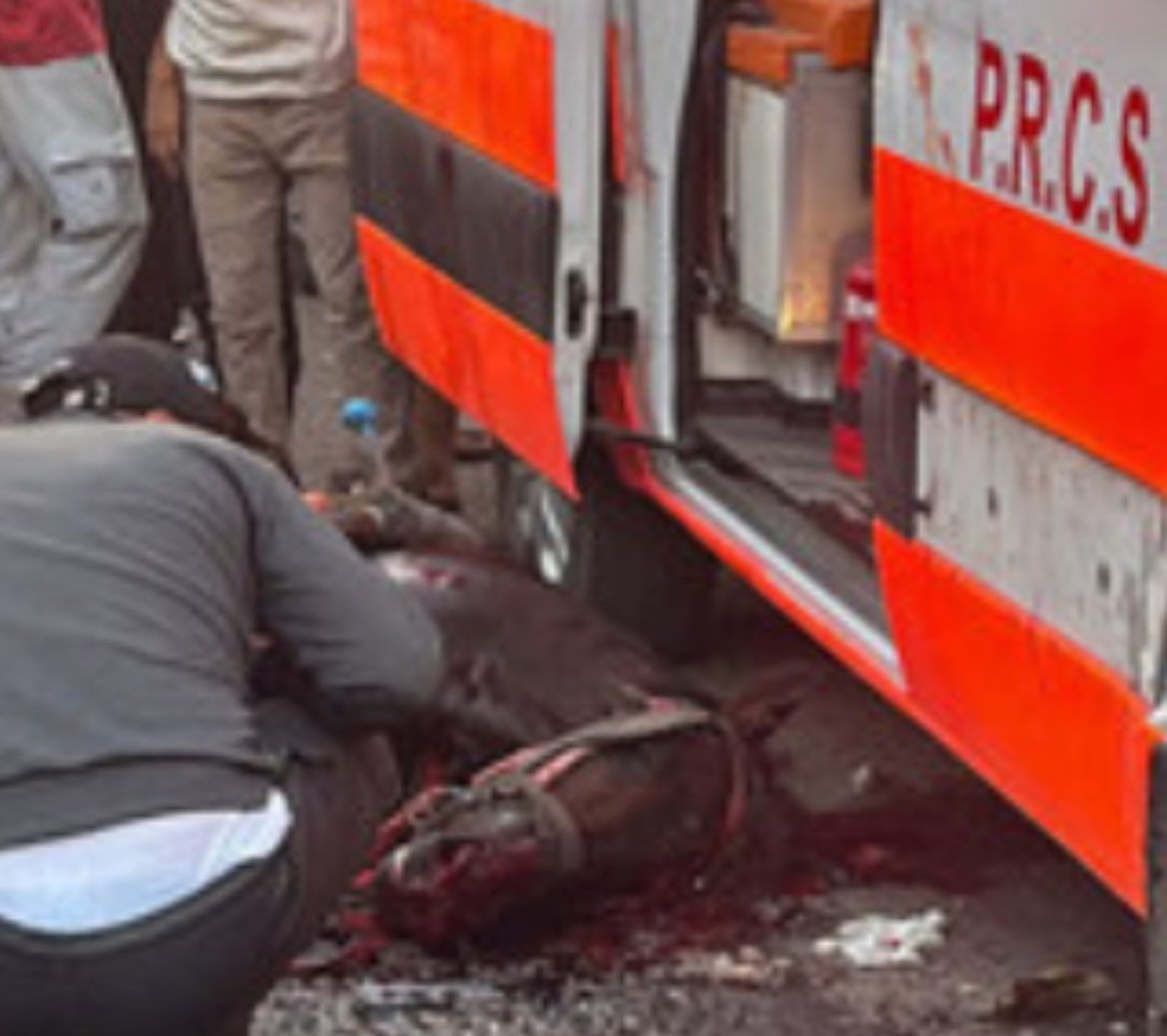 Julian Röpcke🇺🇦 tweet media