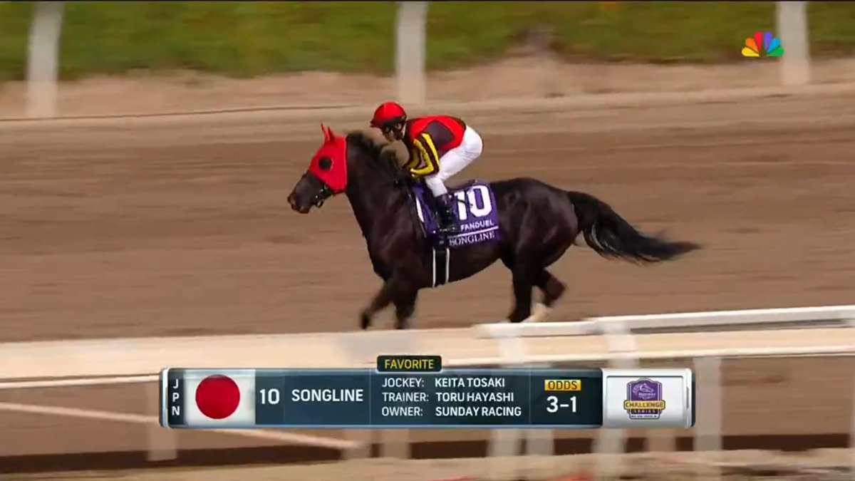 ちびたろう(Chibitaro) (@chi_bi_ta_ro) / X