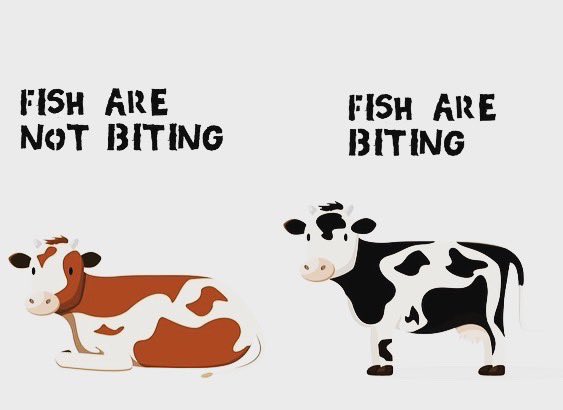 Chanak Trail tweet media