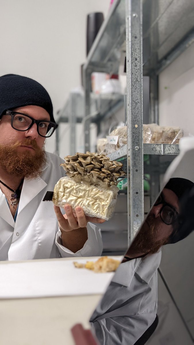 Morgan Rockwell 🍄 tweet media