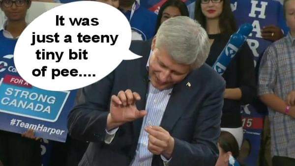 JGetson's tweet photo. @AnitaBourque @OGGY_North @CPC_HQ @PierrePoilievre https://t.co/BnnNuGn9Oi