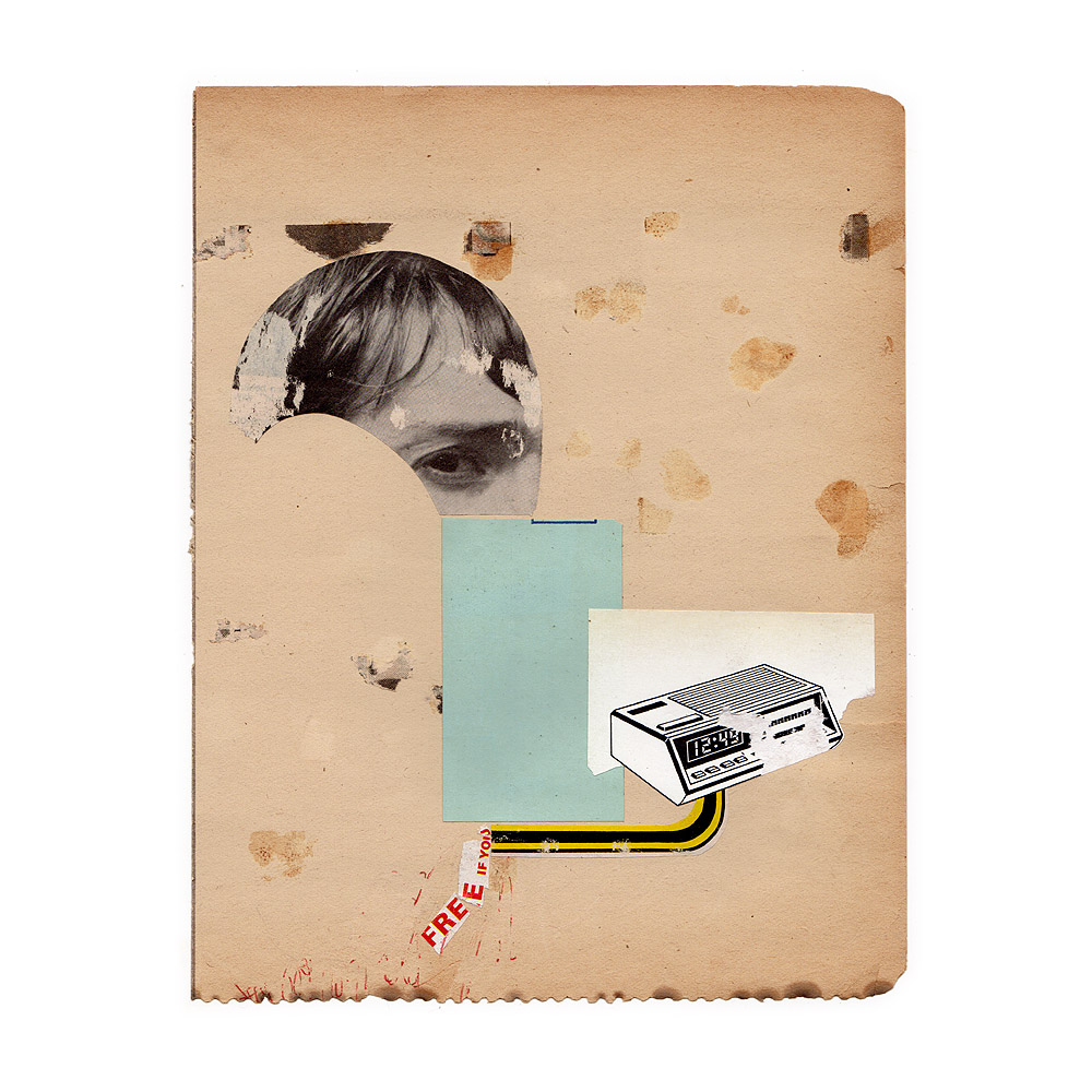 fred free tweet media