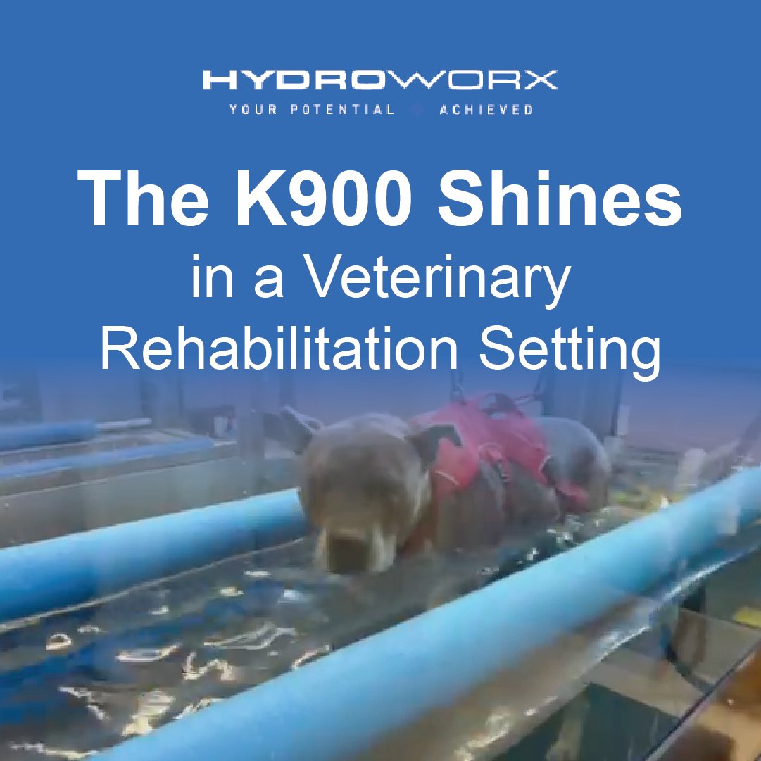 HydroWorx K900  Canine Hydrotherapy Treadmill For Vets