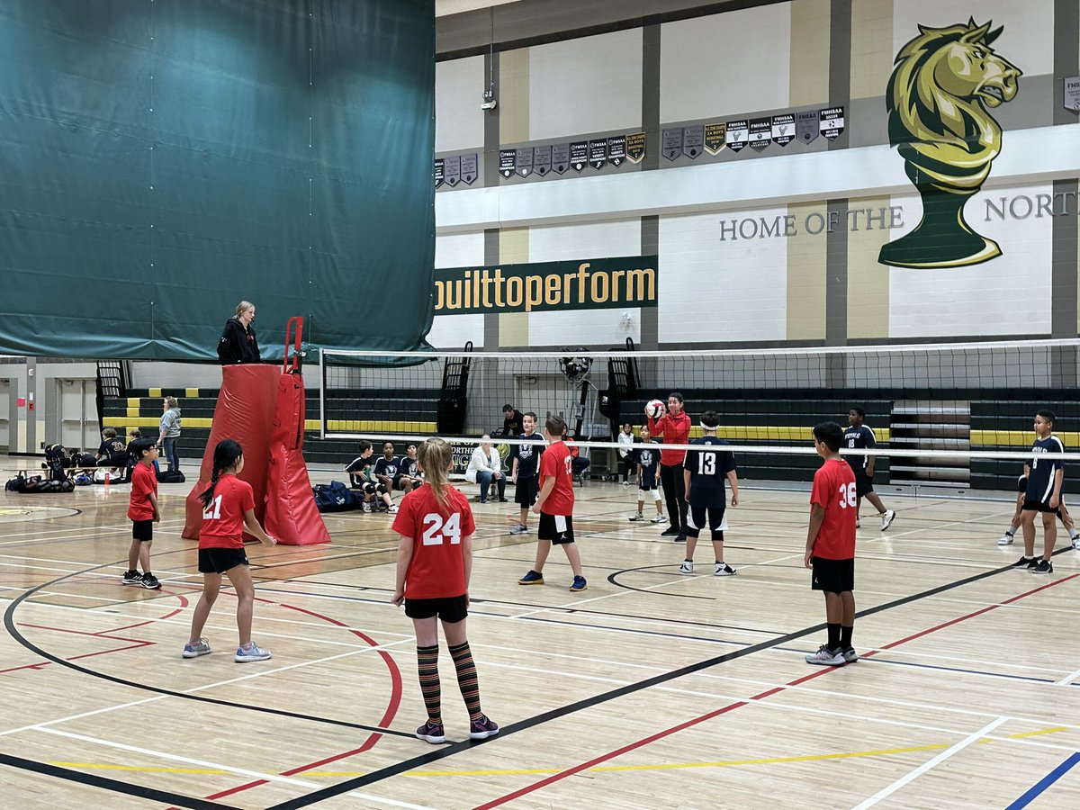 Cynthia Shelley tweet media