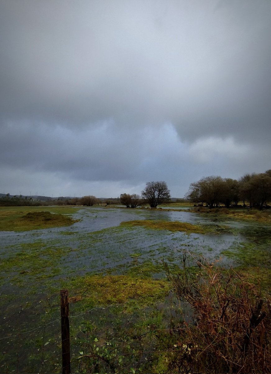 JaviPeto's tweet photo. As brañas do Corzán a pleno rendemento 🌧️🌧️ https://t.co/oVxdxi1KNe