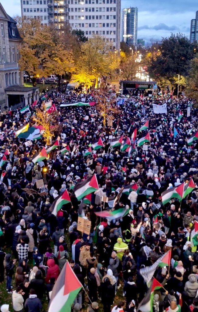 غيداء ‏ tweet media