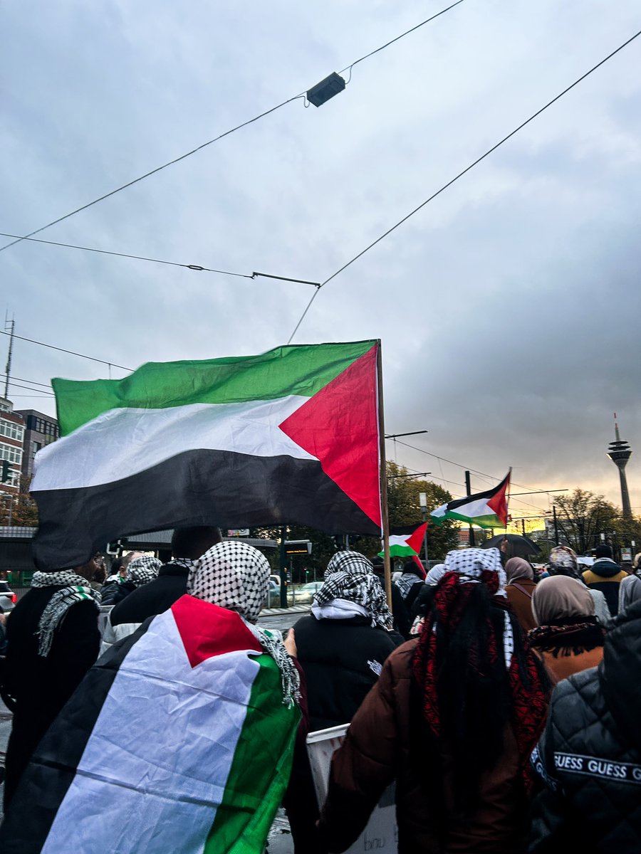 غيداء ‏ tweet media