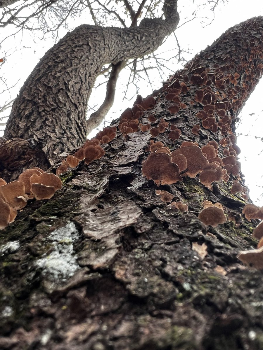 Lizz Nagle tweet media