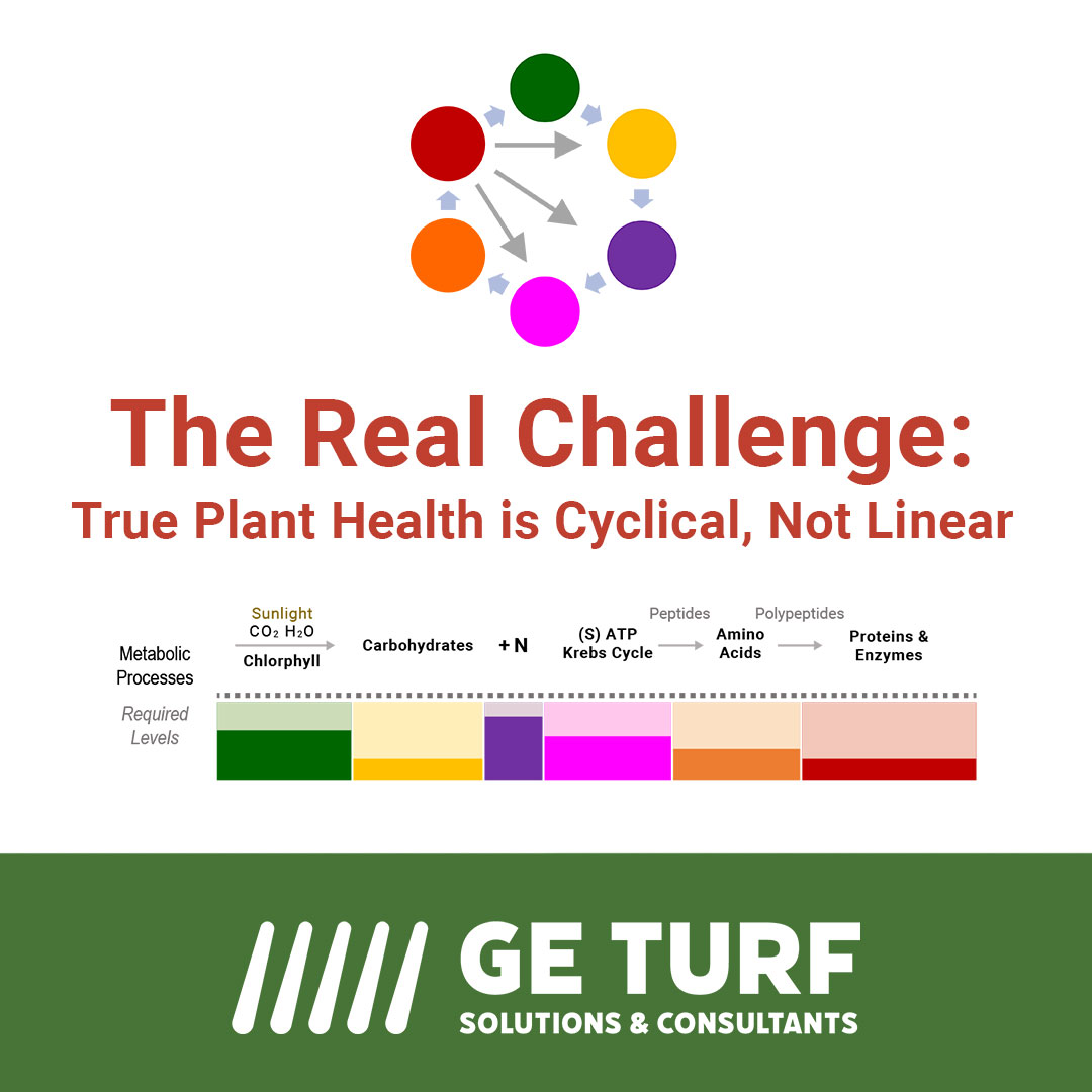 Metabolic Processes are not linear but are instead cyclical. The proteins and enzymes produced are used to create the next set of cells to repeat the same cycle. Any reduction in one process will impact the future outputs in all other cellular processes.

geturf.com/solving-photos…