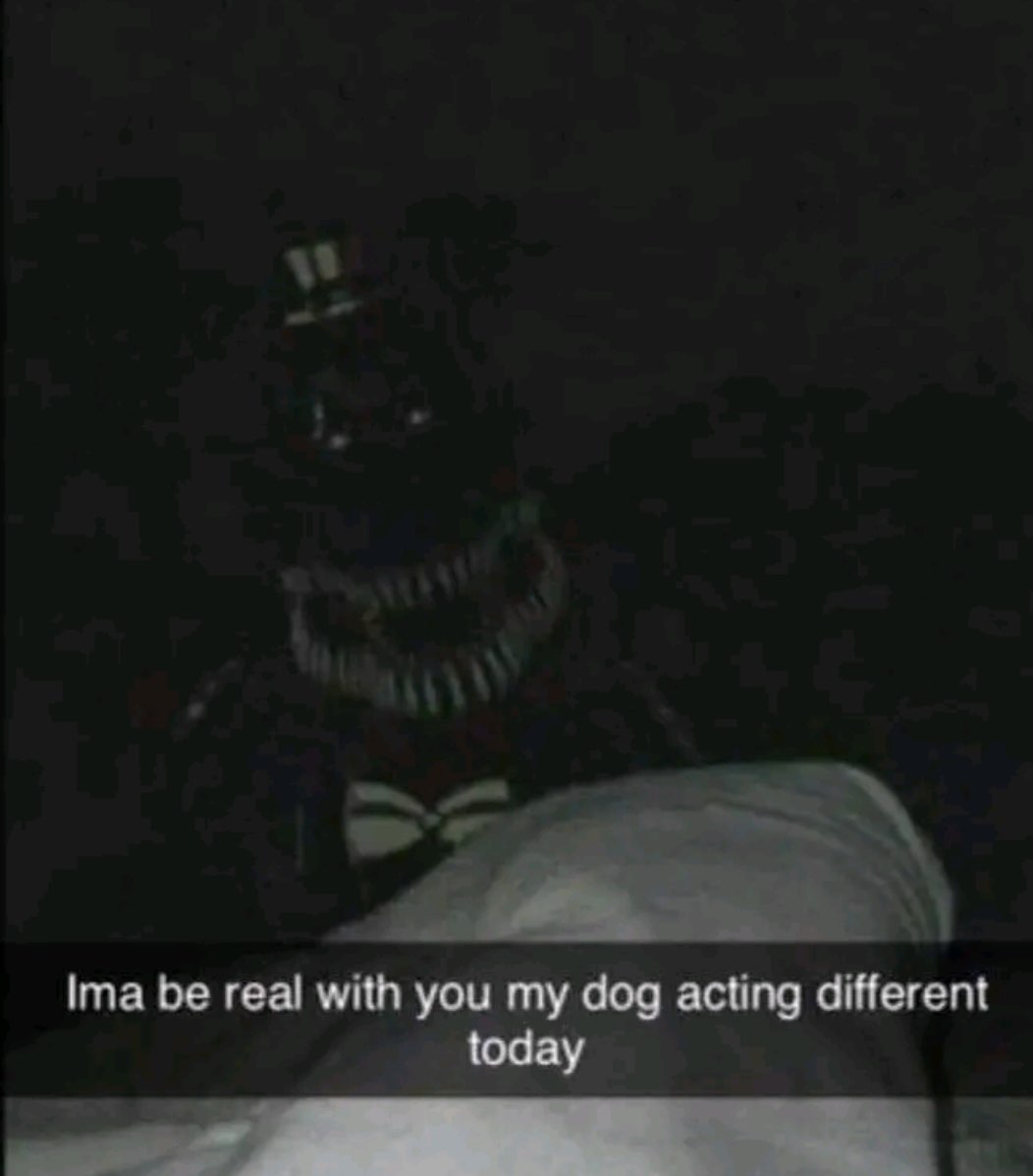 Illegal Memes (@illegal_memes0) on Twitter photo 