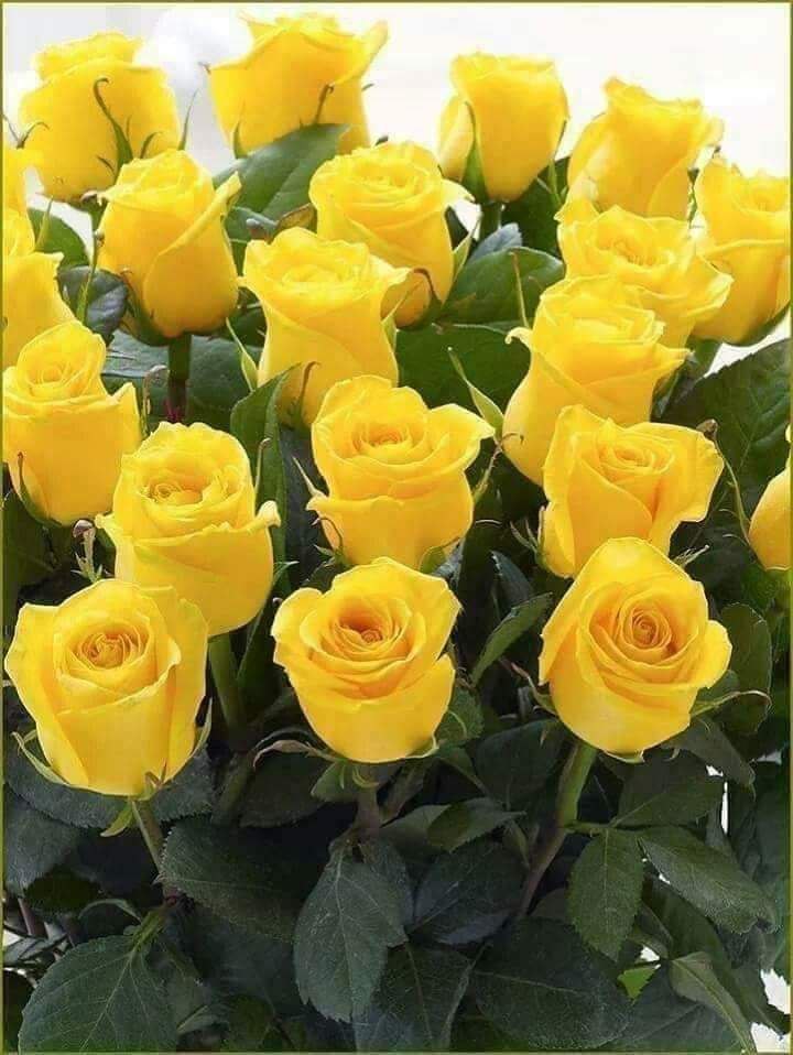 as____as2's tweet photo. @1_S_5 @hvl96 @hvn96 @yne_mm_ @_1R___ @abo7sam337 @rar2_ @R_r__111 @22lol2_ @Wg7Sgj @aladine05 @99fj1 @misk_eve @hm140573 @huwaishal1981 https://t.co/C44akA3Z3I