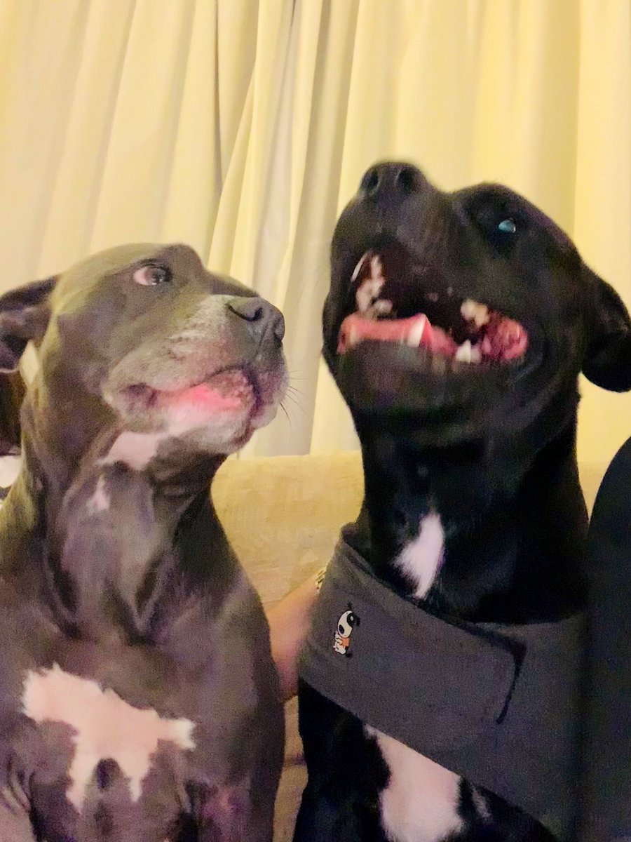 Isa Mary tweet media