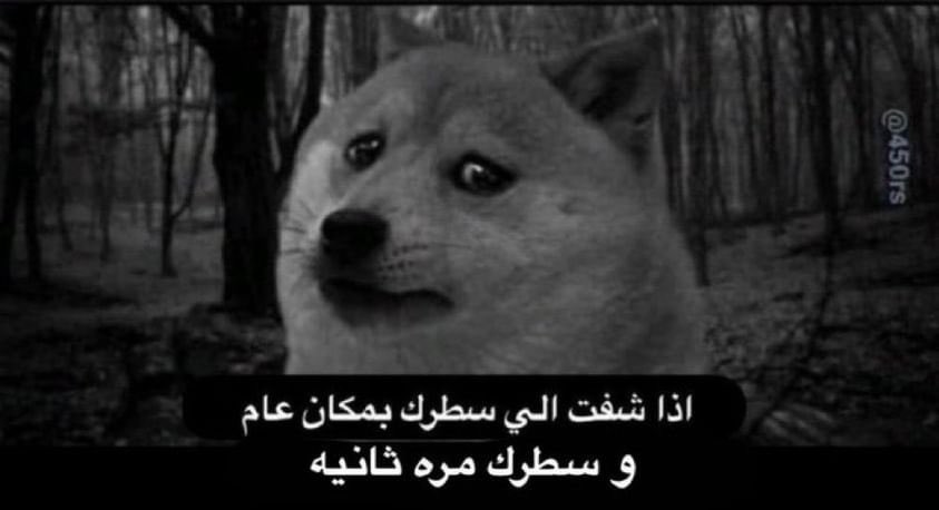 YZNSA_'s tweet photo. فنلندا : https://t.co/7sTeJ7yKHx