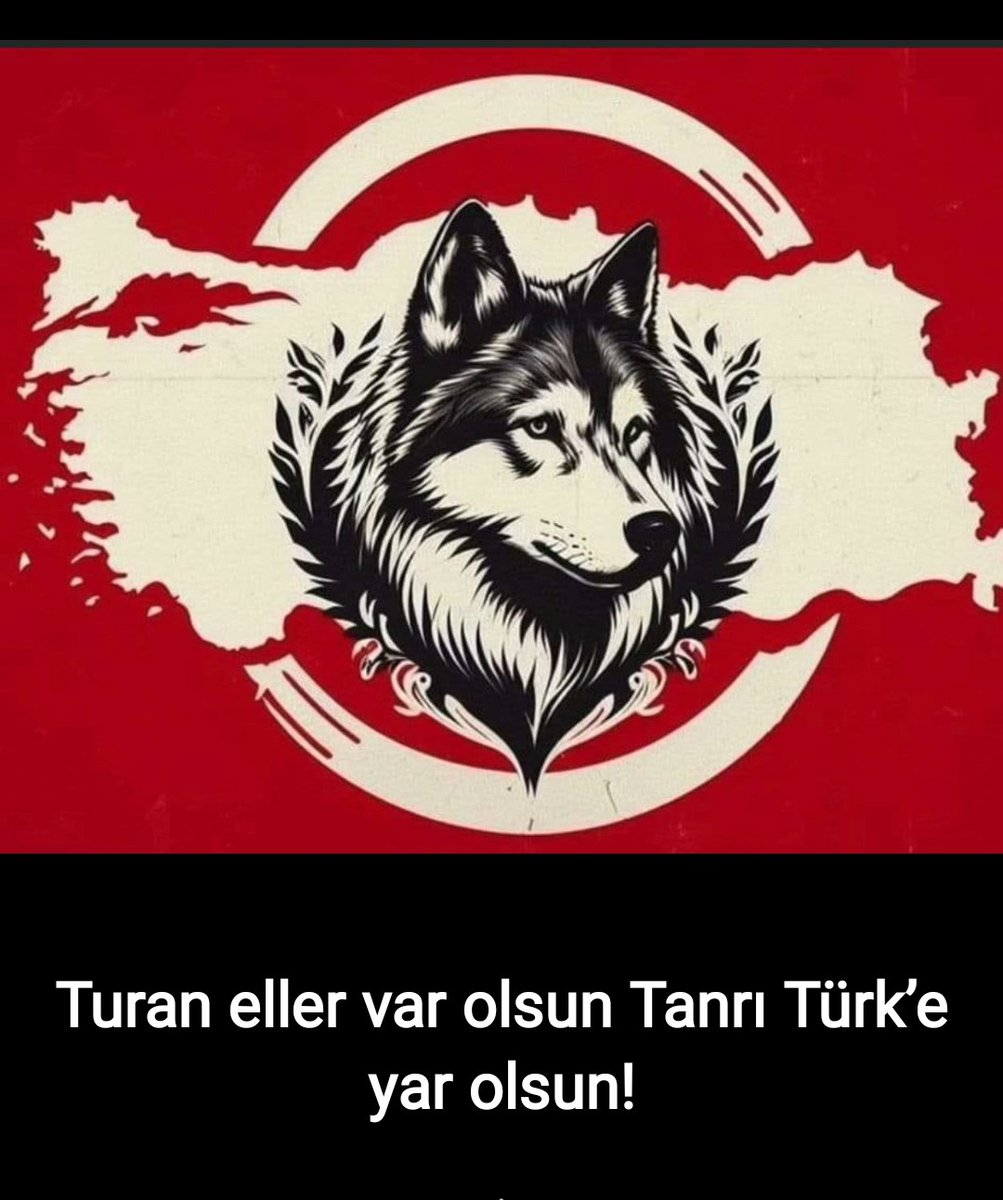 Saim topcu (@cfdbdc2c30ae447) on Twitter photo 