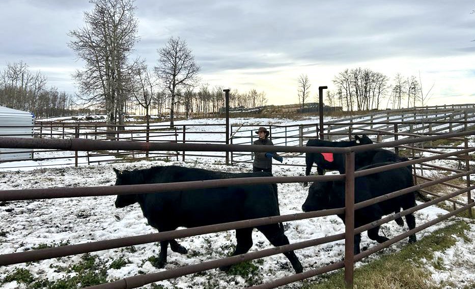 Maria Camila Ceballos tweet media