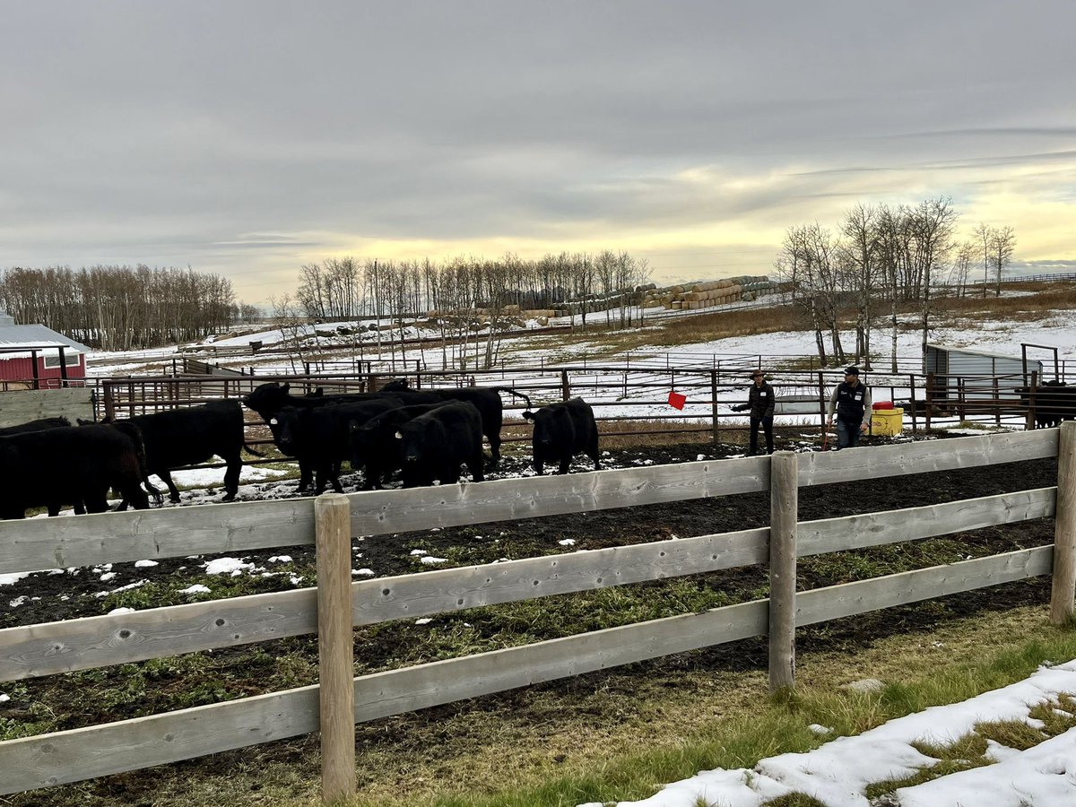 Maria Camila Ceballos tweet media