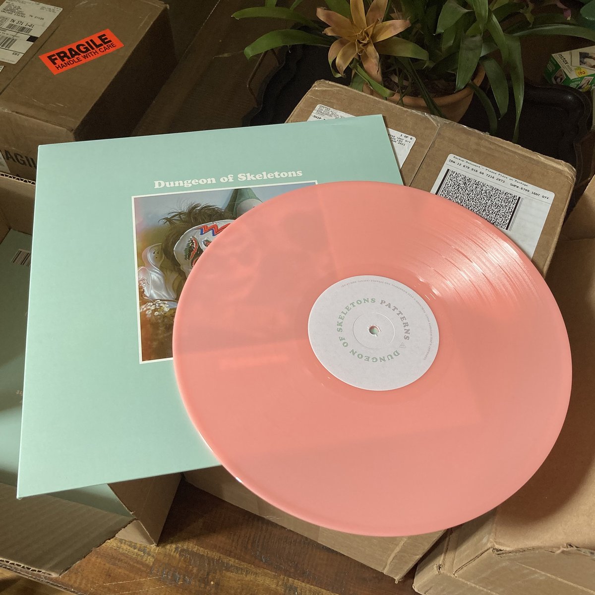 dungeonofskelet's tweet image. Happy 1st Birthday to our debut album #patterns Lots of great memories making this record. Lots of demos happening for DOS album #2 so stay tuned! More photos over on our IG! #patterns #dungeonofskeletons #happybirthday #powerpop #bandsoftwitter