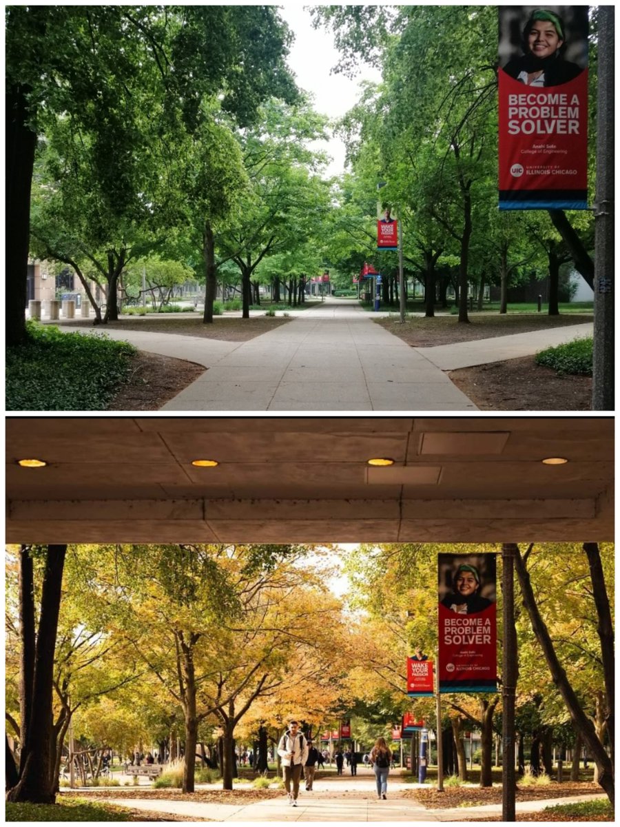 Same place, different season... Love @thisisUIC