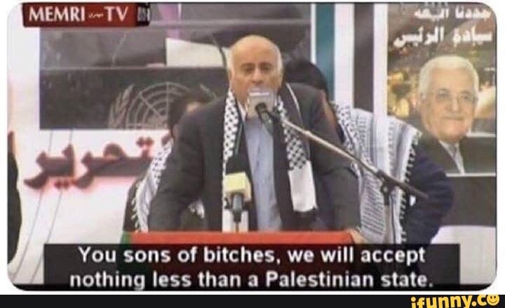 Adam 🇵🇸 tweet media