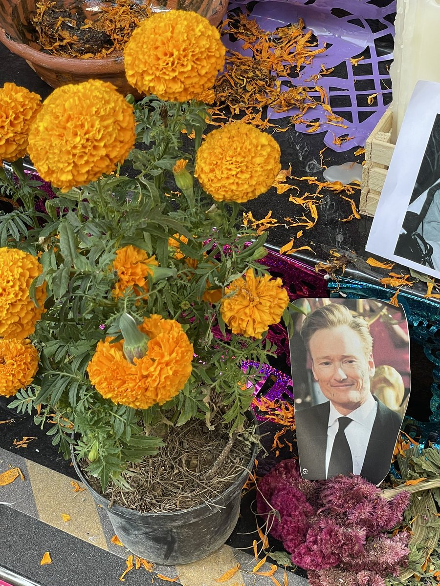 imjnic's tweet photo. hey @ConanOBrien your photo is in an Ofrenda de Dia de Muertos here in #CDMX https://t.co/QvBolpYld2