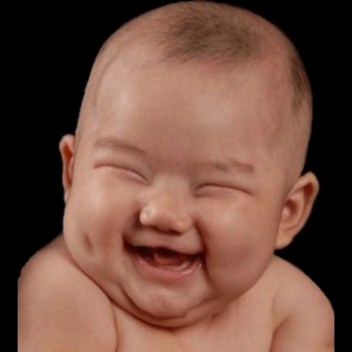 Ğhï§ĺãíñ⛑ IdipNebosh tweet media