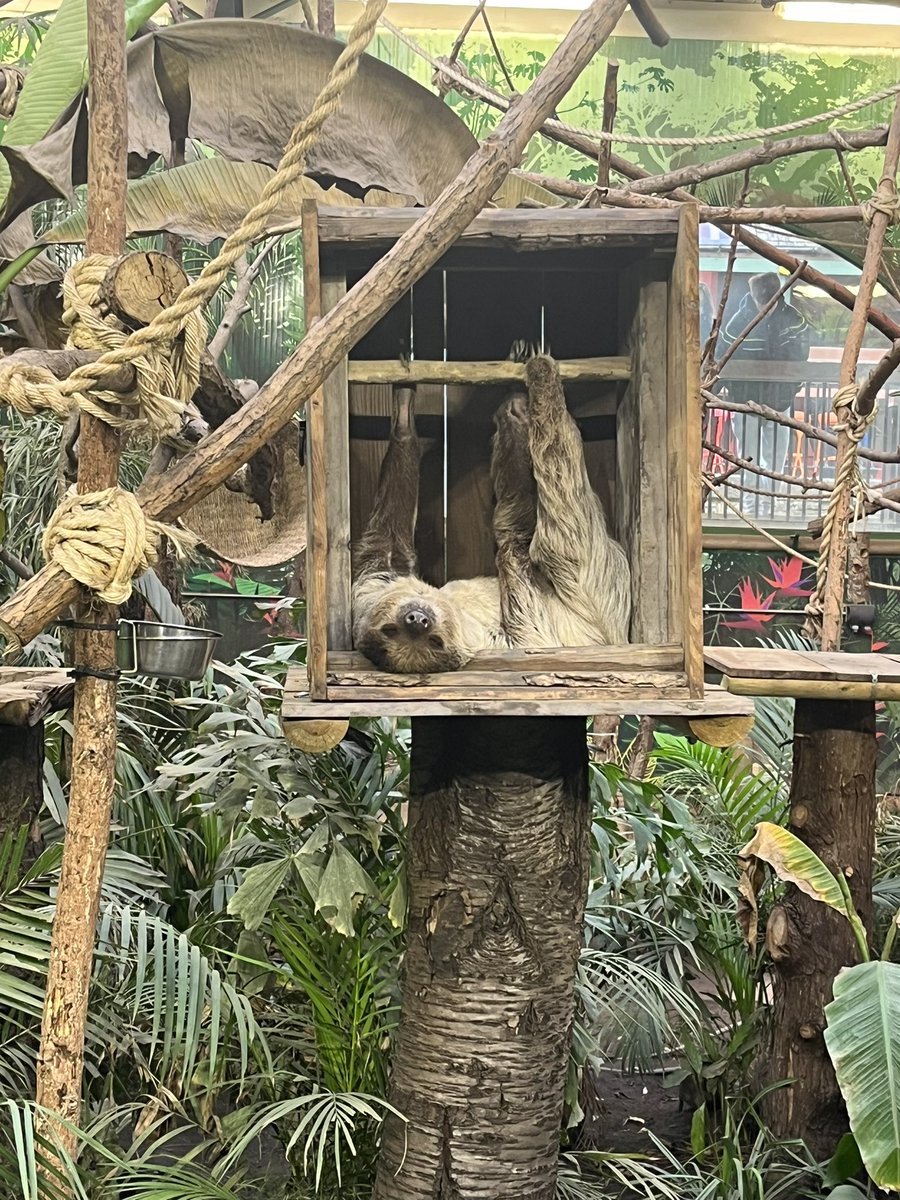 Miss F 🌻 tweet media