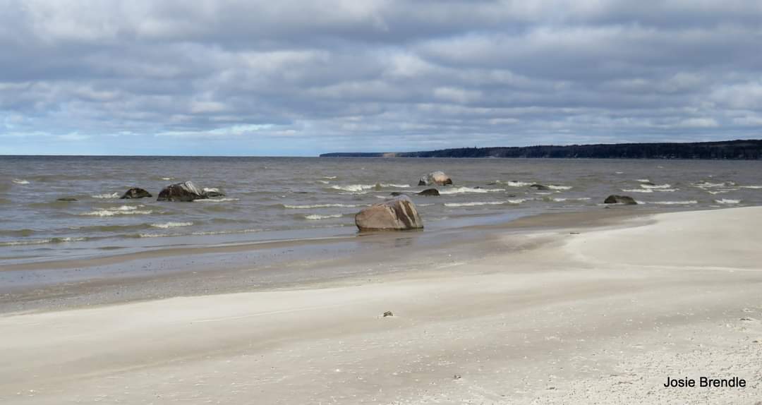 BrendleJosie's tweet photo. #lakeWinnipeg, #Manitoba , #nature, #CPaws. https://t.co/j20D9sZqLZ