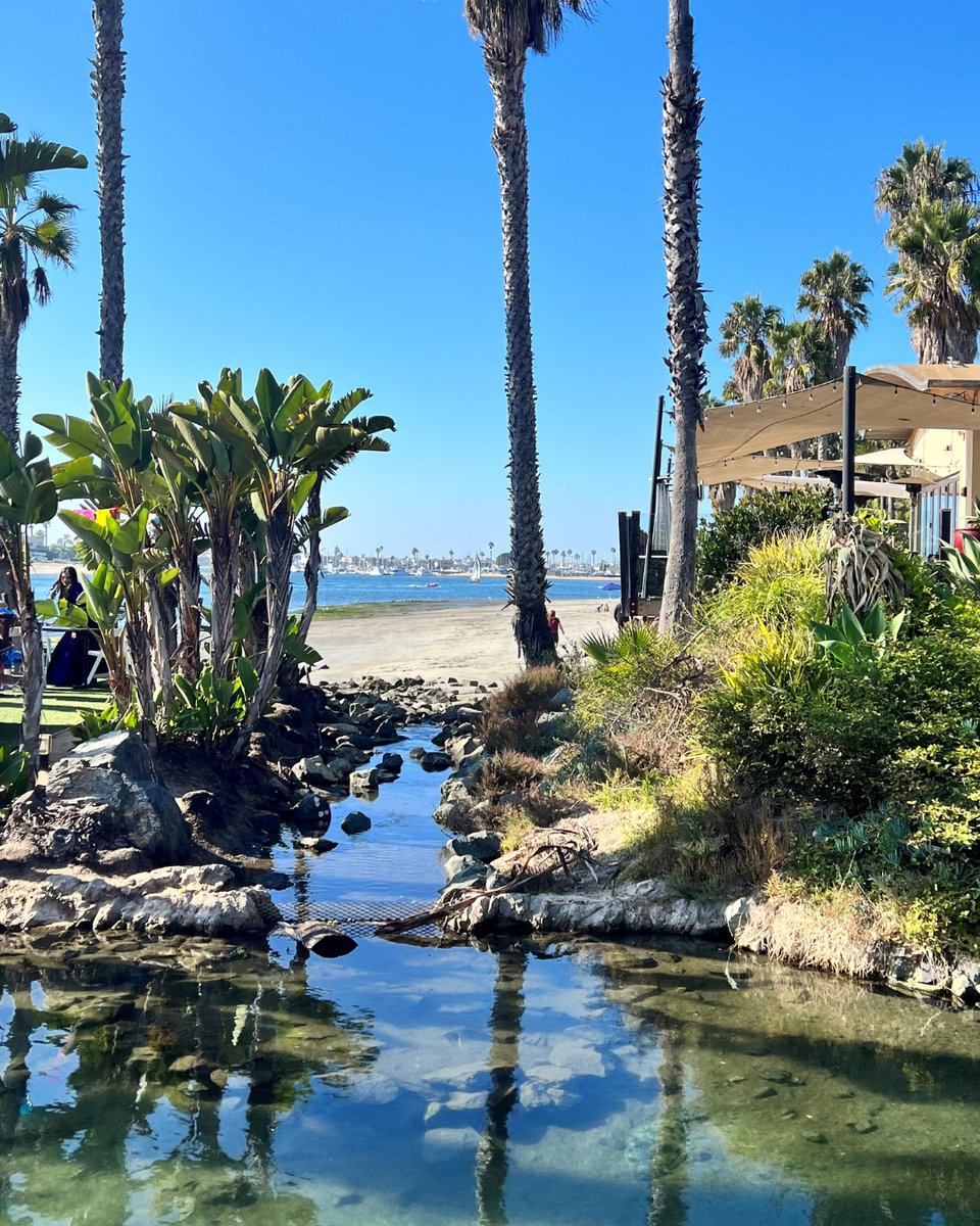 Experience the fusion of island cuisine and breathtaking views.

#paradisepointsd #paradisepoint #sandiego #discovermissionbay #sandiegofoodies #sdfoodie #sandiegoeats #eatsandiego #sdfoodscene #youstayhungrysd #visitsandiego #visitsd #visitcalifornia #missionbeach #missionbay