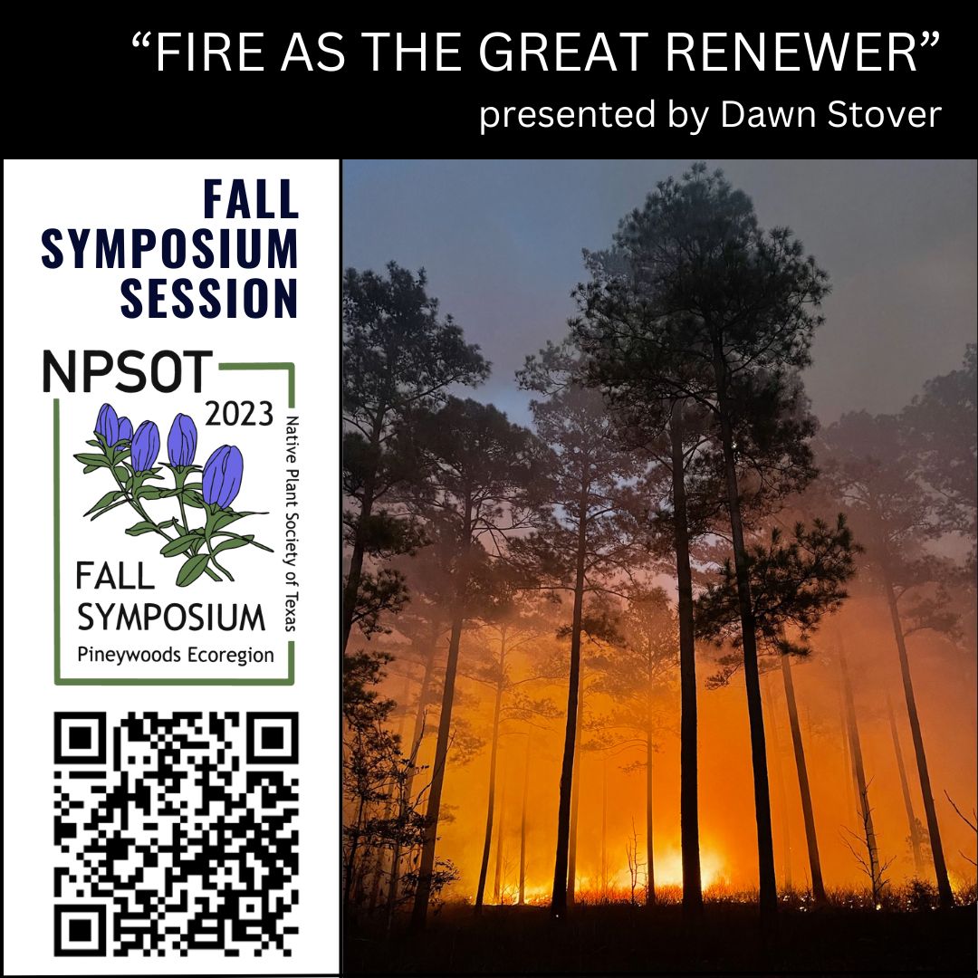 Native Plant Society of Texas tweet media