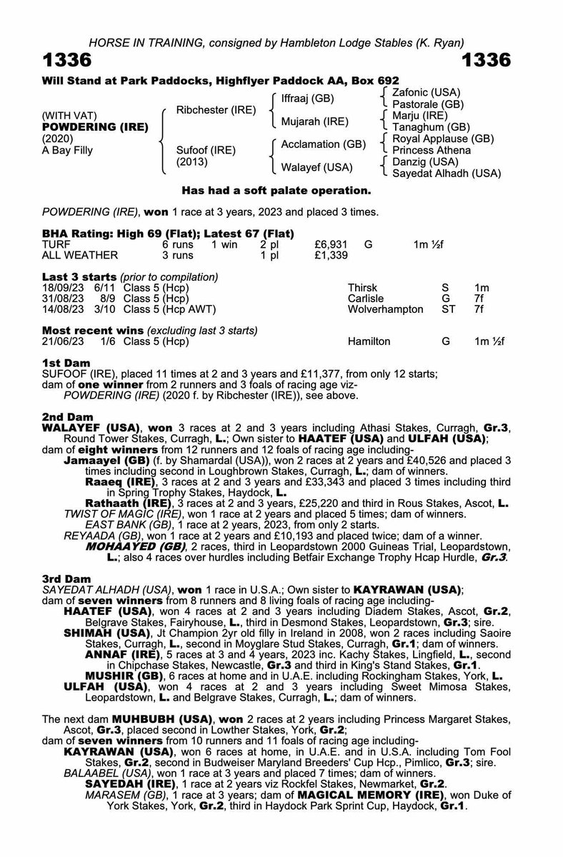 Michael Herrington Racing (@herringtonrace) on Twitter photo ⭐️Shares Available ⭐️Michael Herrington Racing Club is offering limited shares in new purchase ‘Powdering’. Bought at the recent Tattersalls HIT sales she is fit and ready for an all weather campaign! 🐎DM or email for more details ⭐️Shares Available ⭐️Michael Herrington Racing Club is offering limited shares in new purchase ‘Powdering’. Bought at the recent Tattersalls HIT sales she is fit and ready for an all weather campaign! 🐎DM or email for more details