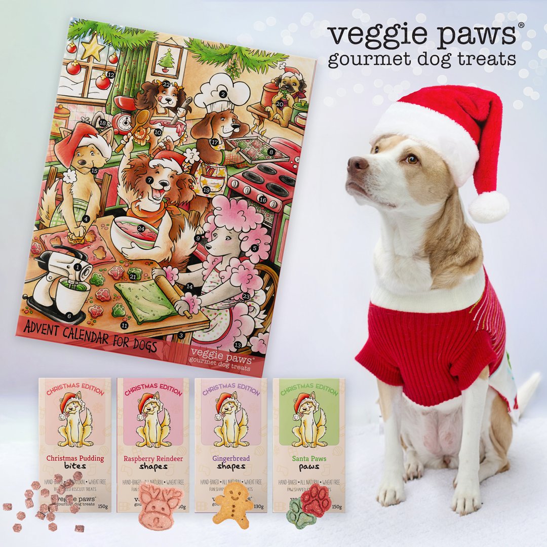 OzDogLover's tweet photo. Who's counting down the days till #Christmas? 5โฃ0โฃโ๏ธ
Time to grab those gorgeous ๐๐ผ๐ด ๐๐ฑ๐๐ฒ๐ป๐ ๐๐ฎ๐น๐ฒ๐ป๐ฑ๐ฎ๐ฟ๐, ๐๐ผ๐ป ๐๐ผ๐ป๐ & ๐๐ผ๐๐ฟ๐บ๐ฒ๐ ๐๐ผ๐ด ๐ง๐ฟ๐ฒ๐ฎ๐๐, some can be personalised with your #dog's name! https://t.co/iGDlwPa1k4
#DogChristmasGifts #aussiedogs https://t.co/pLy1L6DdDD