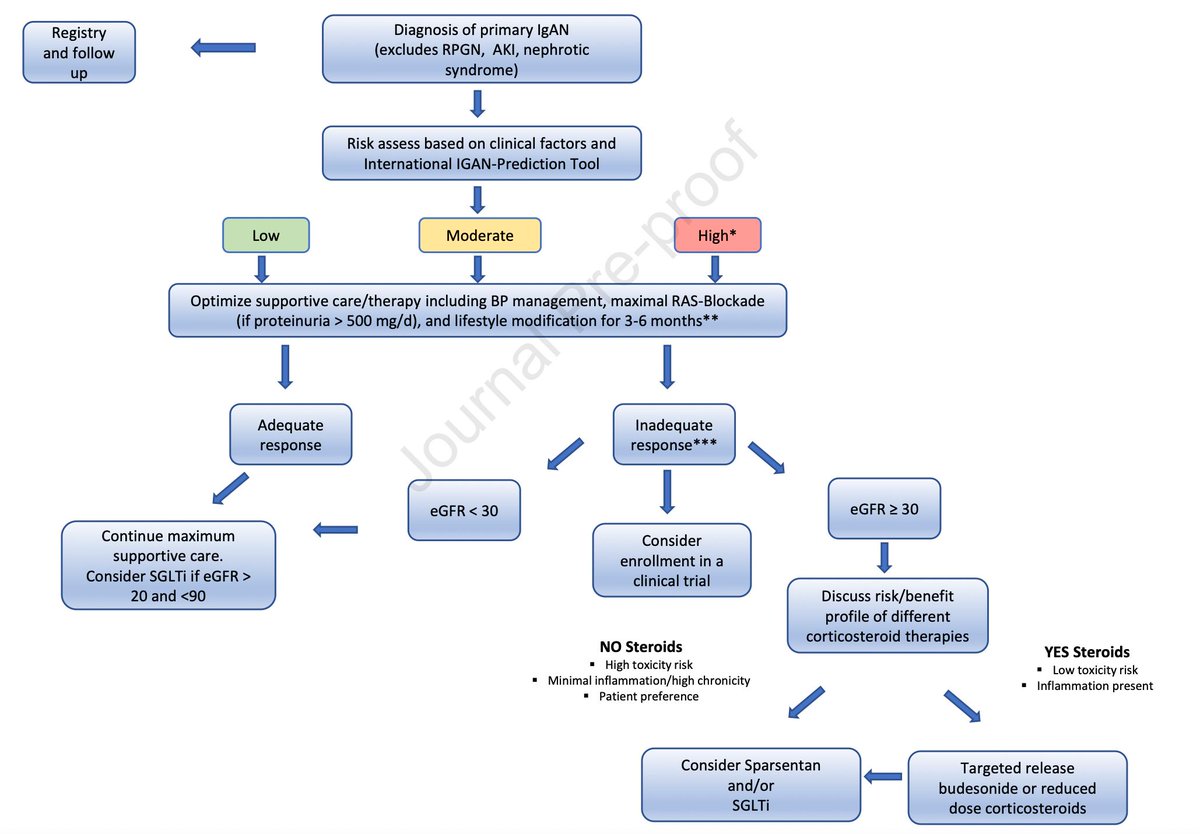 Review by @dawn_caster and Richard A. Lafayette: The Treatment of Primary IgA Nephropathy: Change, Change, Change bit.ly/3MqcMpt