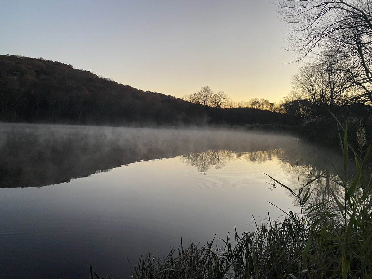 Though sadness surrounds,
Squeezing tight, then releasing —
The sun helps me rise 
#HaikuSaturday