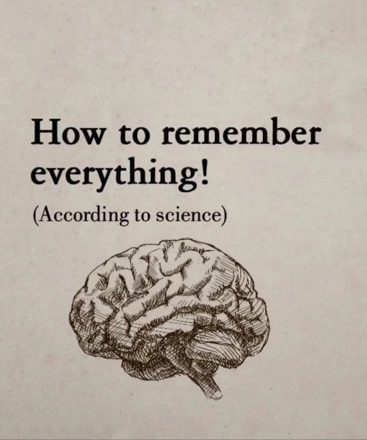 busines_corner's tweet photo. HOW TO REMEMBER EVERYTHING!

(According to Science)

//Thread// https://t.co/LxMNZnPuZs