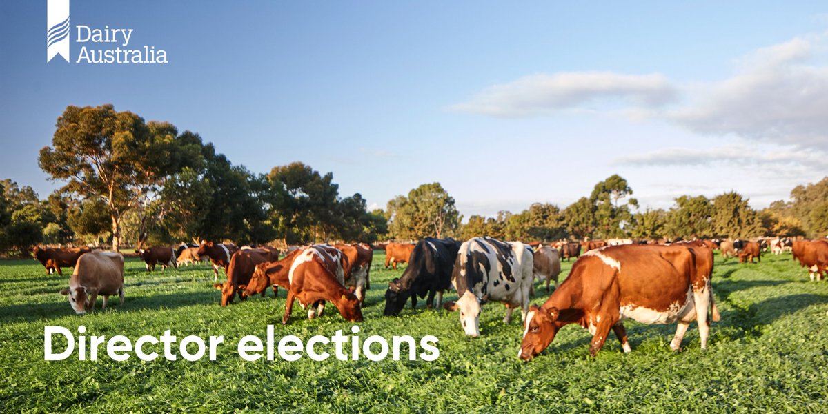 Ahead of our farmer forum on 28/11 hear from the candidates who are standing for election at the AGM and register to attend in person or participate online at
dairyaustralia.com.au/agm #dairy #agm #ausdairy