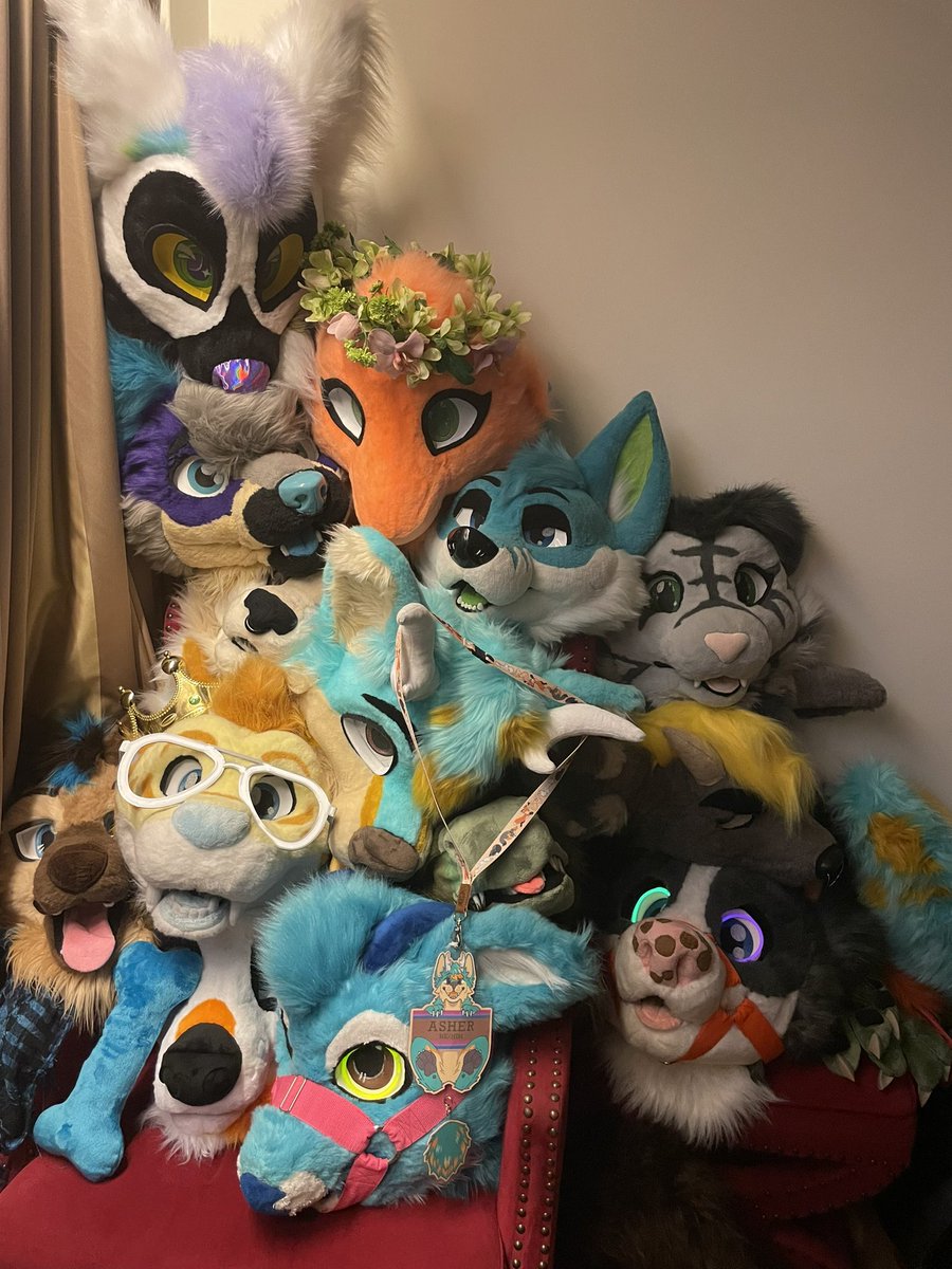 stoletheradio's tweet photo. Had such a blast at #TailsofTerror2 ! Spent heaps of money, fursuited for hours and drank myself silly. Thank you to all the wonderful people in these photos for hanging out with me, y'all are amazing <3 https://t.co/nIcFzt18Qw
